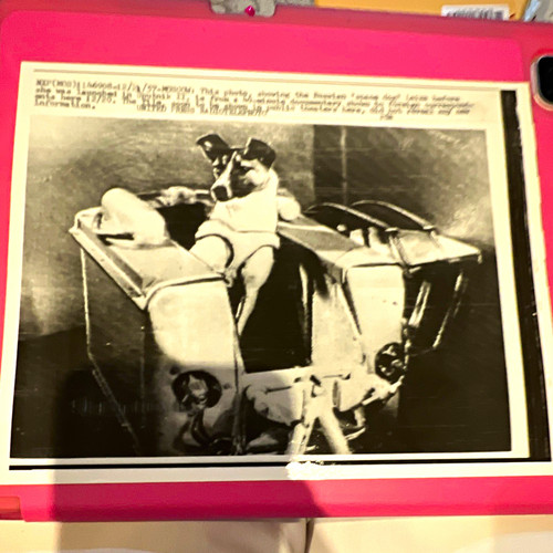 1957 original press photograph - 1957,